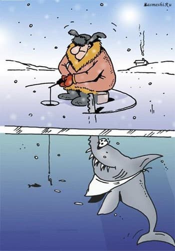 Улов рыбака