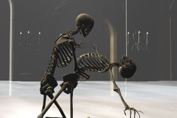 Два скелета