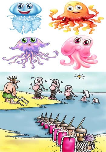Стадо мужиков и медузы