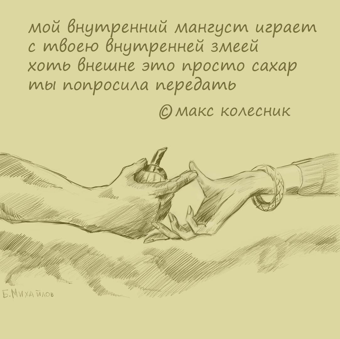 мой внутренний мангуст