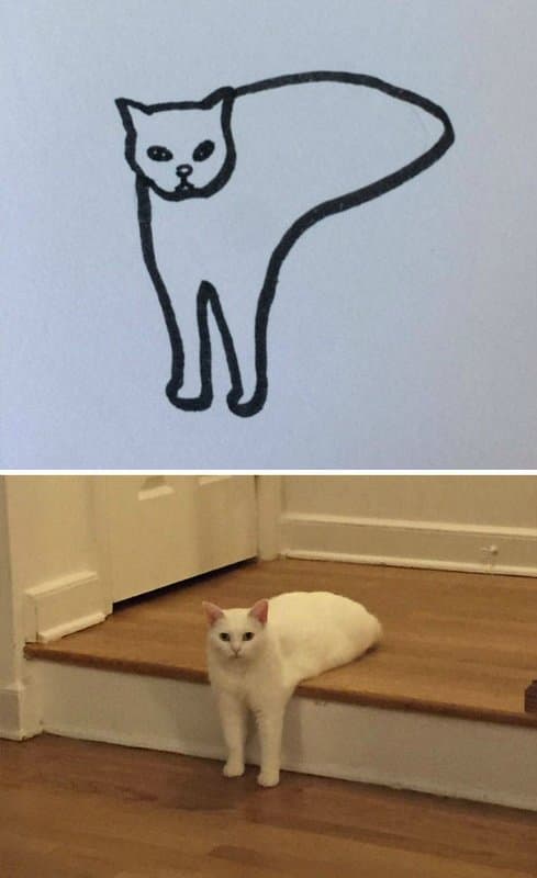 Рисуем котов-5