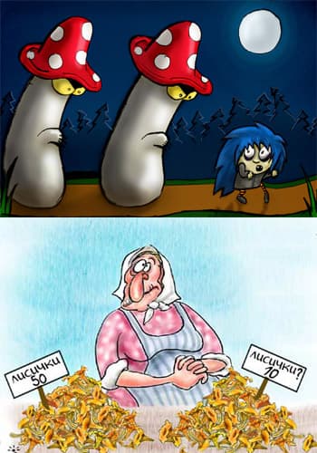 Недобрые грибы