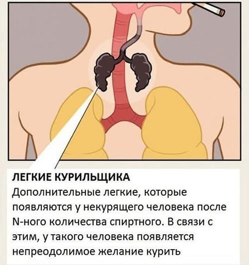 курильщика