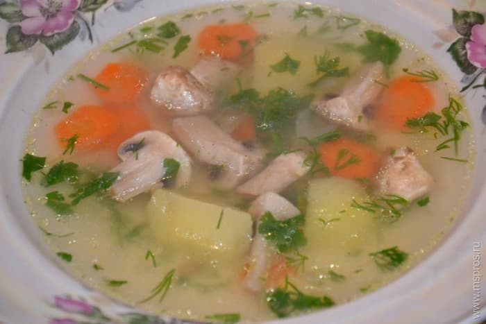 Легкий грибной супчик