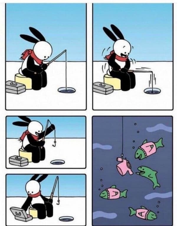 Одежда для рыбок