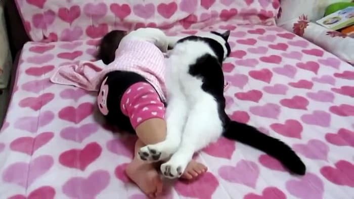 Малыш спит с кошкой