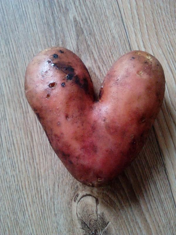Картошка-сердечко