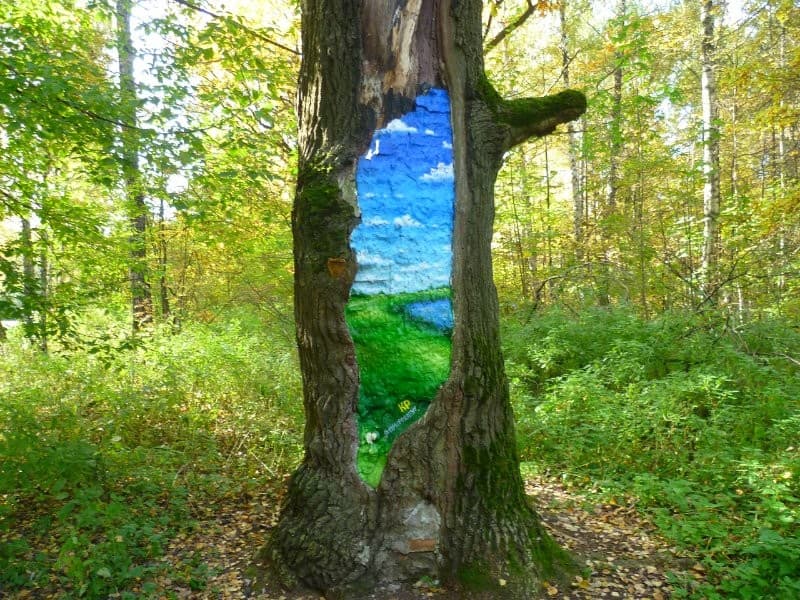 Рисунок в дереве